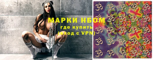 PSILOCYBIN Каменногорск