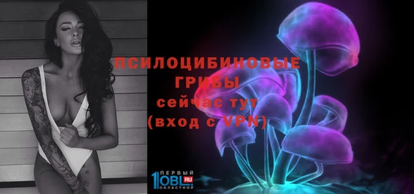 PSILOCYBIN Каменногорск