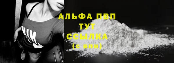 PSILOCYBIN Каменногорск