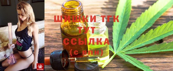бошки Каменка
